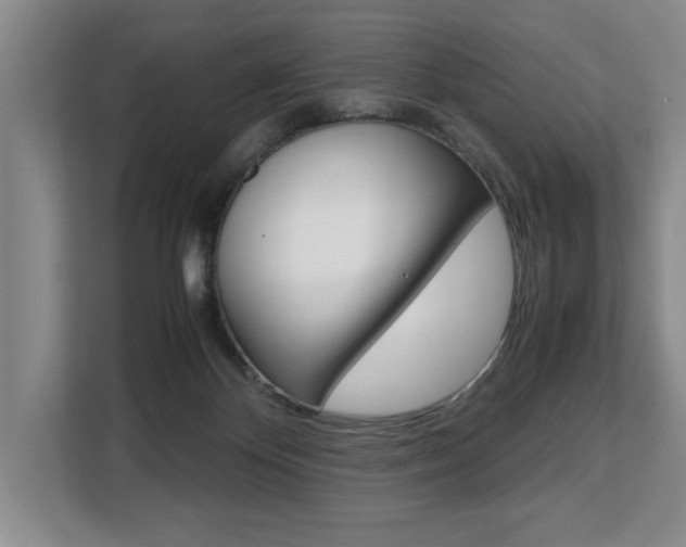 X0000108480124200904031127