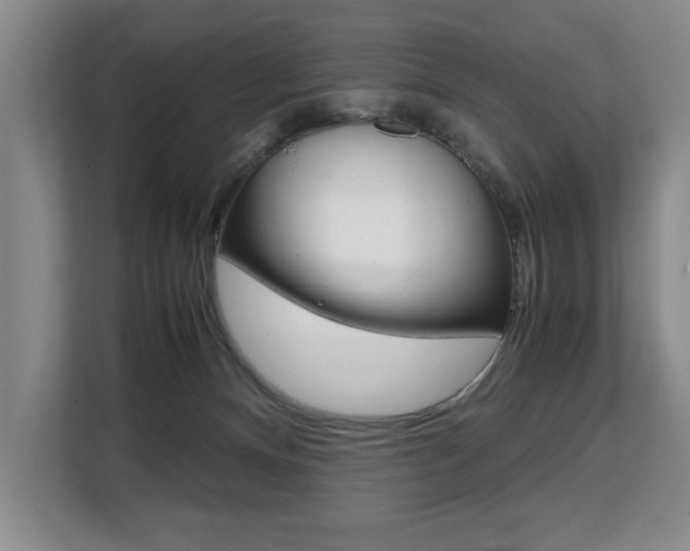 X0000108480128200904031127