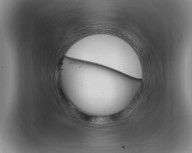 X0000108480129200904031127