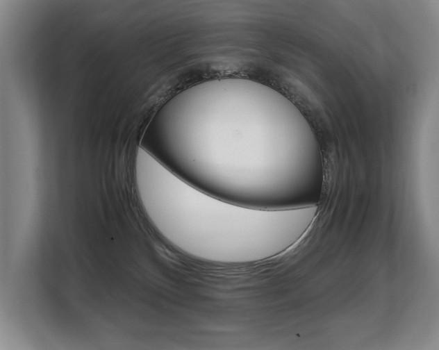 X0000108480136200904031127