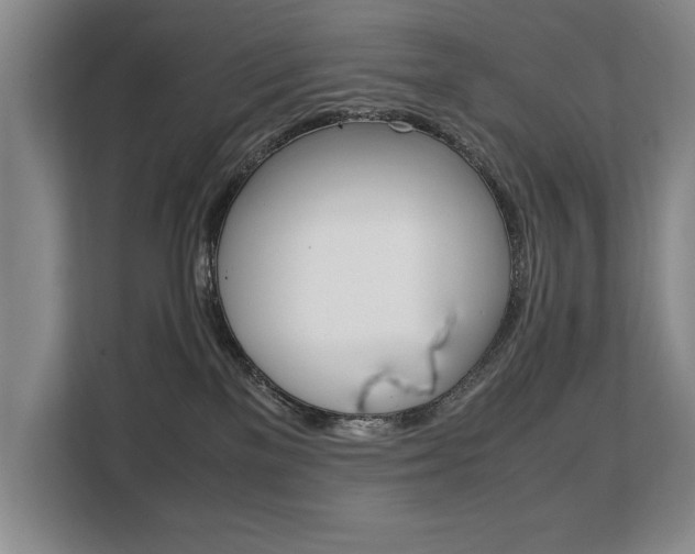 X0000108480137200904031127
