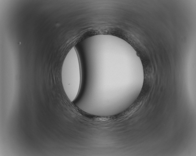 X0000108480139200904031127
