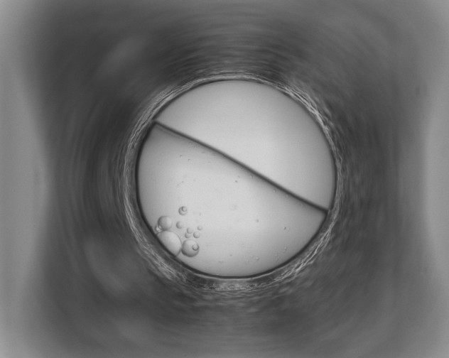 X0000108480145200904031126