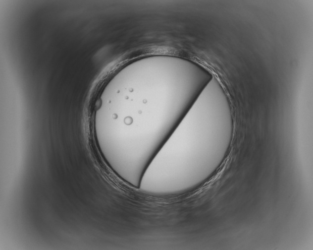 X0000108480149200904031126
