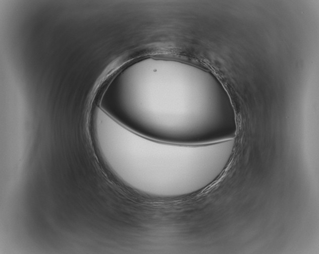 X0000108480150200904031126