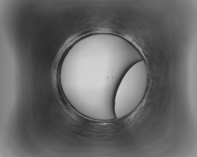 X0000108480151200904031126