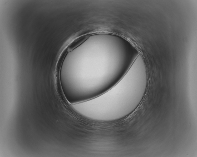 X0000108480152200904031126