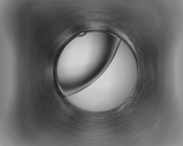 X0000108480154200904031126