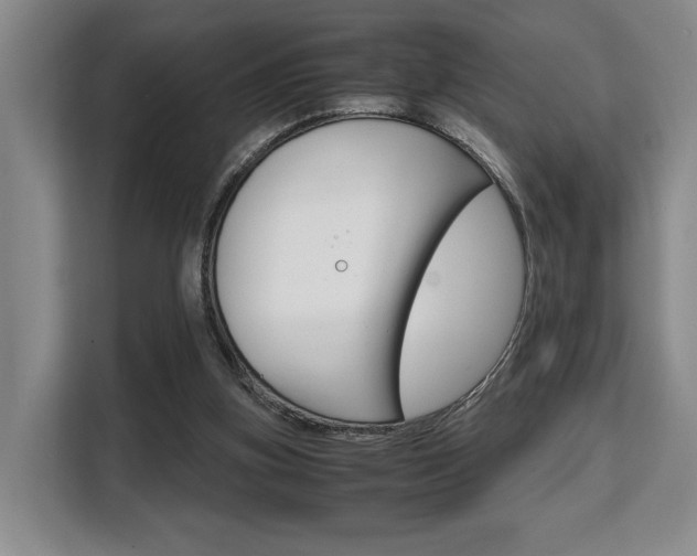 X0000108480155200904031126