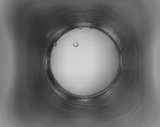 X0000108480157200904031126