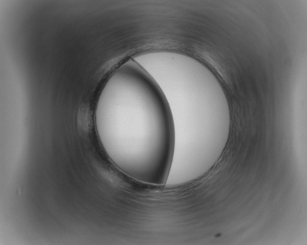 X0000108480164200904031126