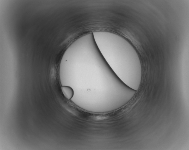 X0000108480165200904031126