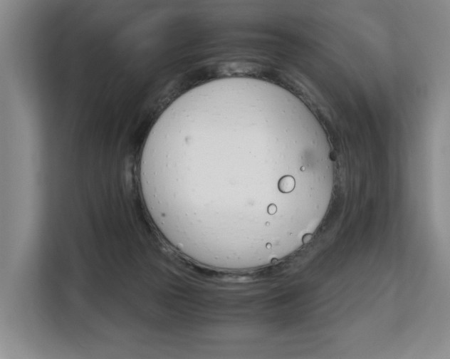 X0000108480169200904031126