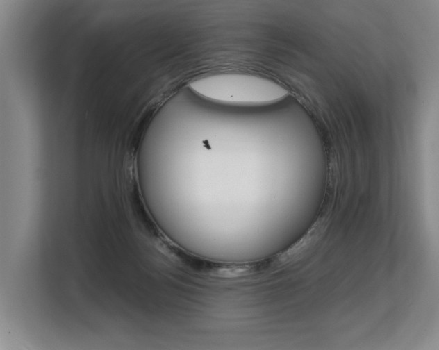 X0000108480172200904031126