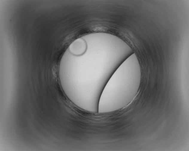 X0000108480175200904031127