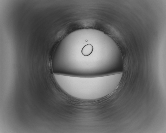 X0000108480176200904031127