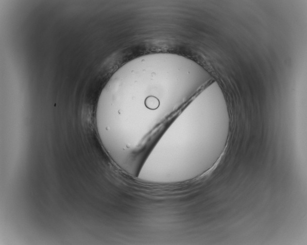 X0000108480178200904031127
