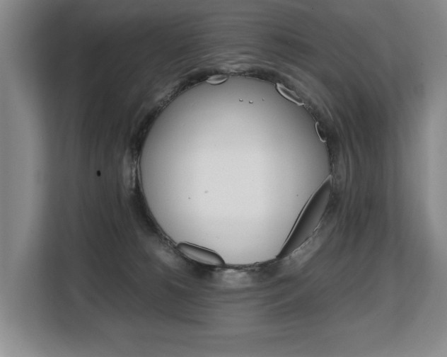 X0000108480180200904031127