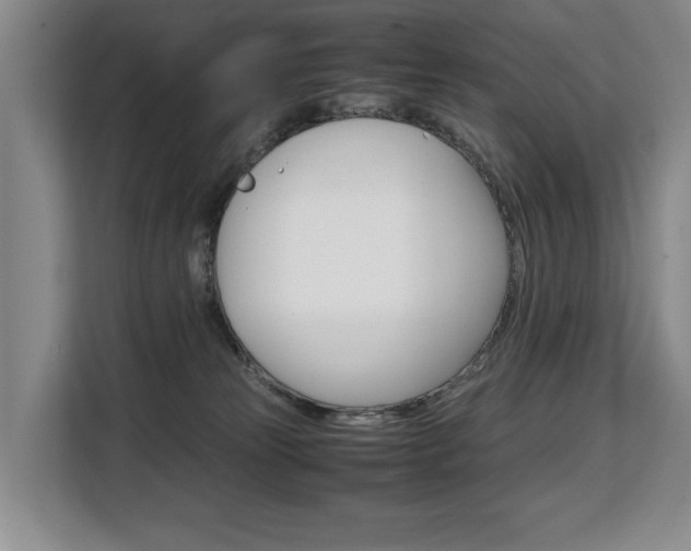X0000108480181200904031127