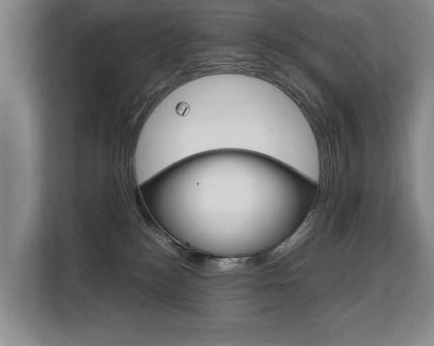 X0000108480184200904031127