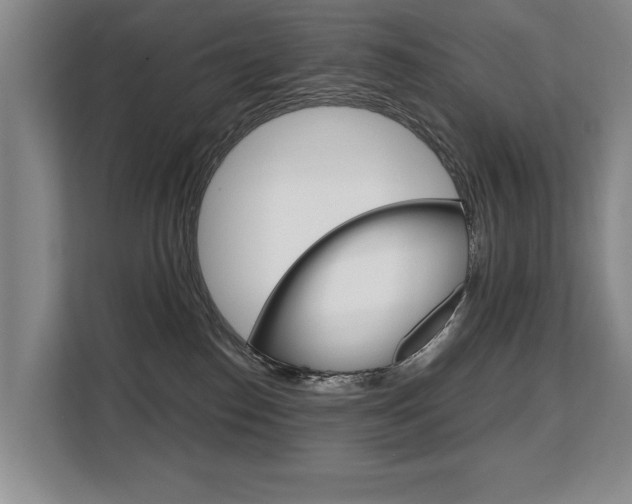 X0000108480186200904031127
