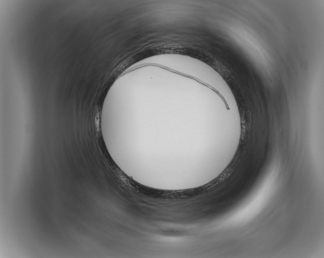 X0000108480190200904031127