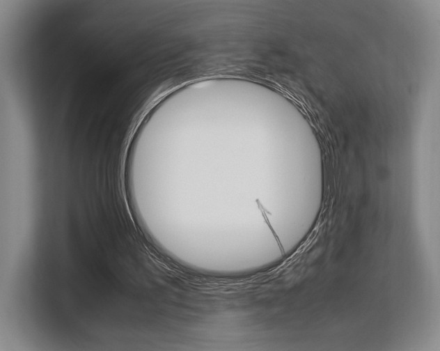 X0000108480195200904031126