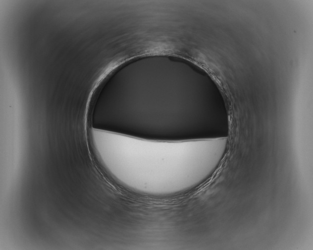 X0000108480196200904031126