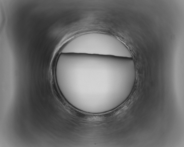 X0000108480198200904031126