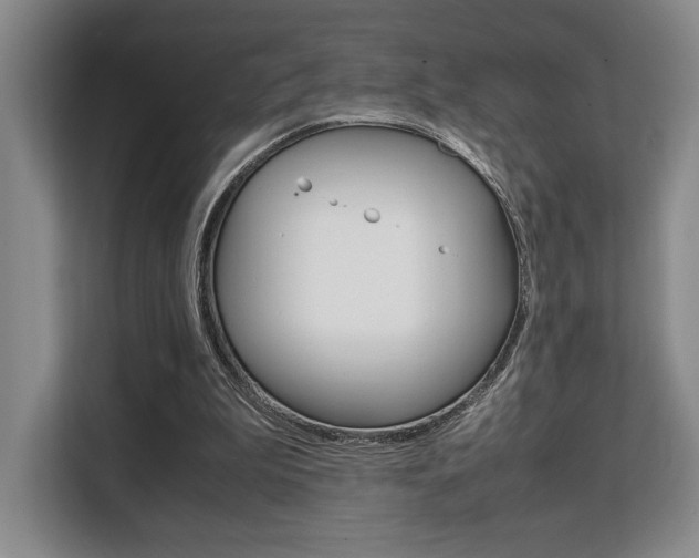 X0000108480199200904031126