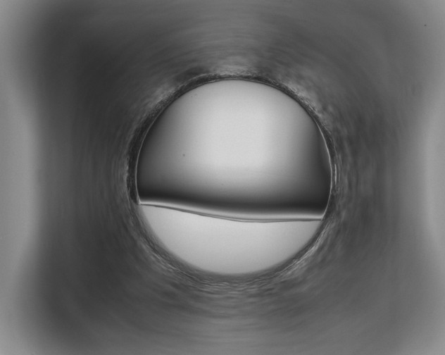 X0000108480201200904031126