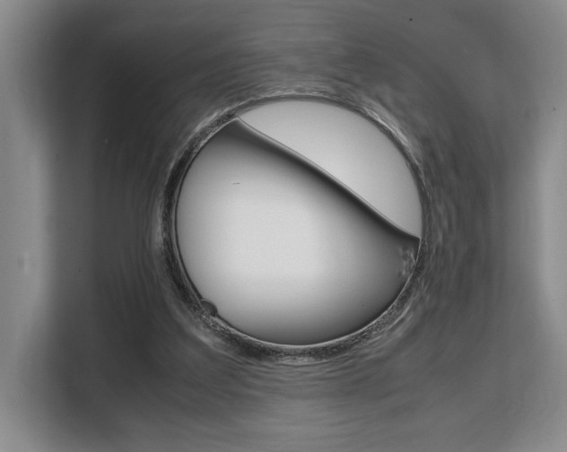 X0000108480203200904031126