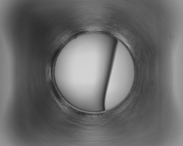 X0000108480205200904031126