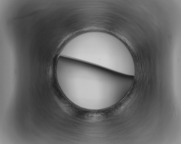 X0000108480208200904031126