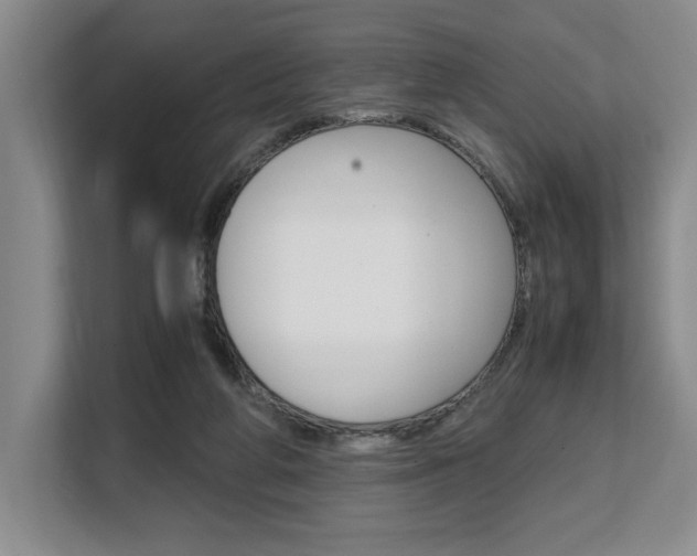 X0000108480210200904031126