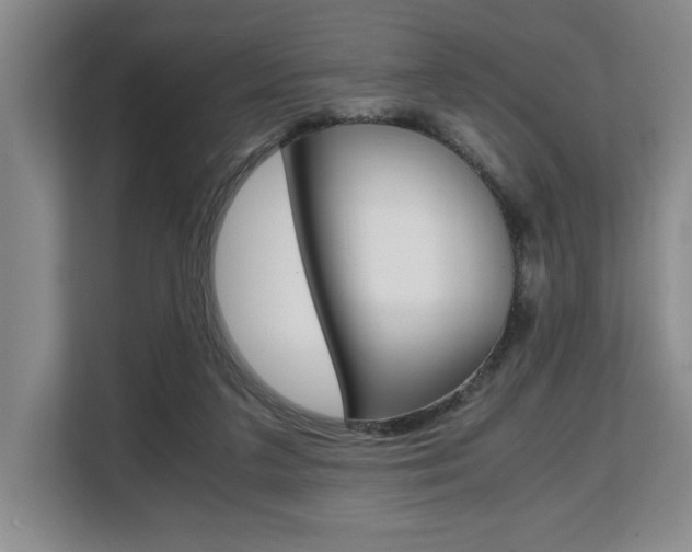 X0000108480211200904031126