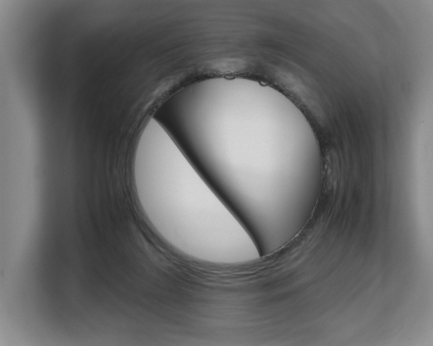 X0000108480212200904031126