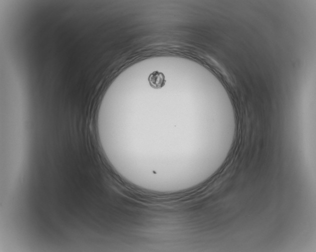 X0000108480217200904031126