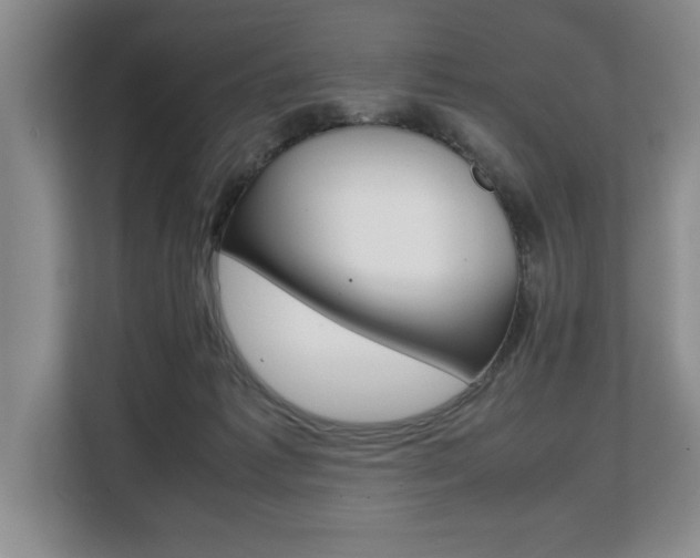 X0000108480221200904031126