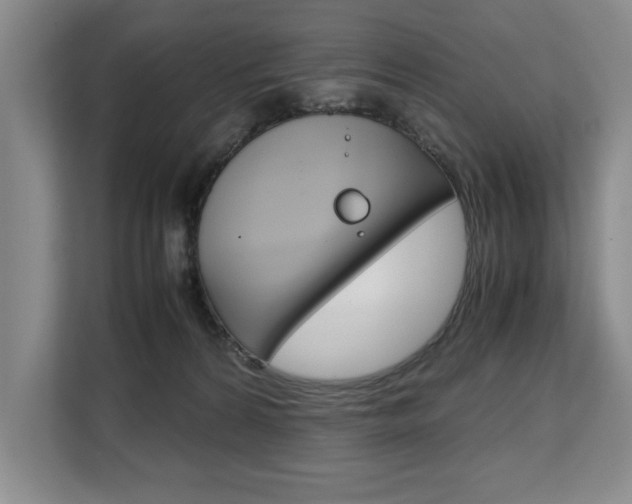 X0000108480224200904031126