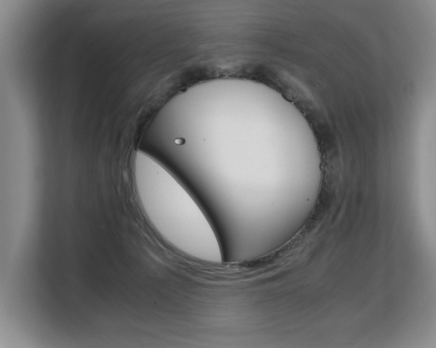 X0000108480225200904031126