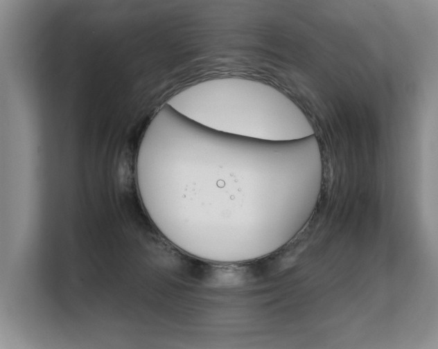 X0000108480226200904031126