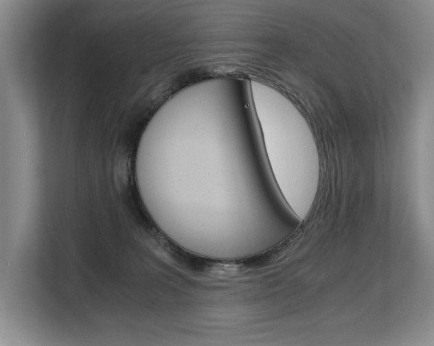 X0000108480227200904031126