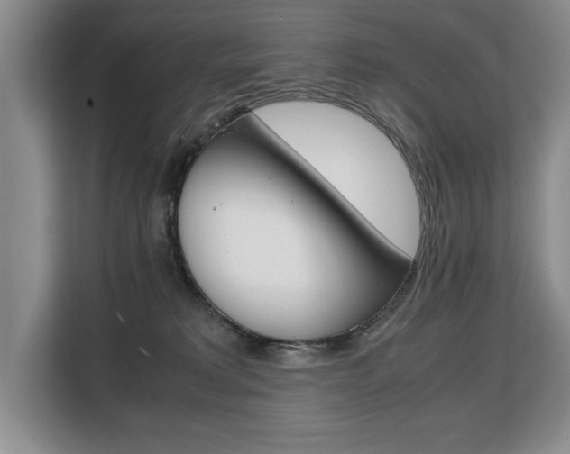 X0000108480229200904031126