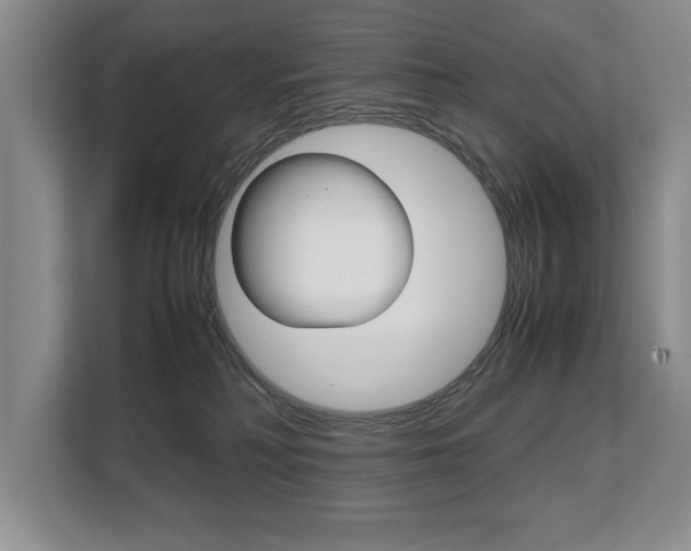 X0000108480230200904031126