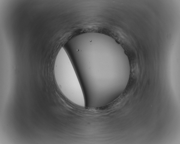 X0000108480231200904031126