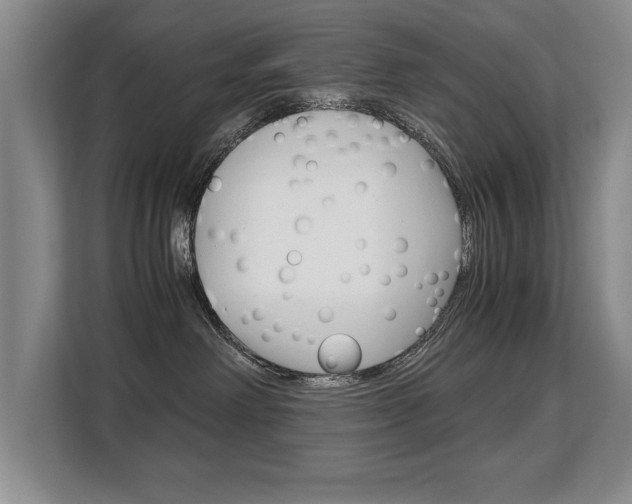 X0000108480238200904031126