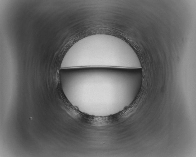 X0000108480240200904031126