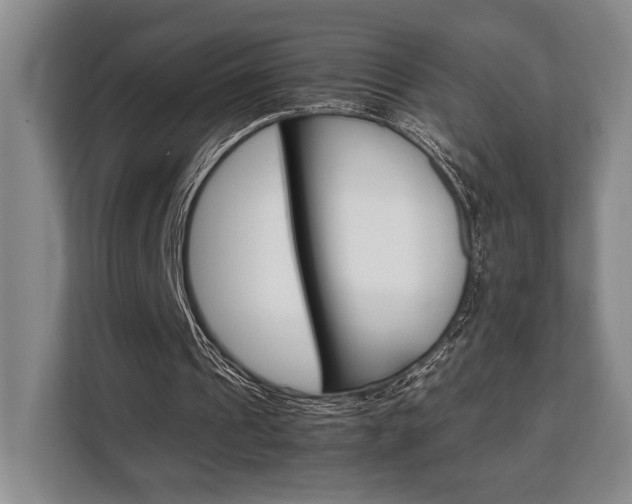 X0000108480241200904031125