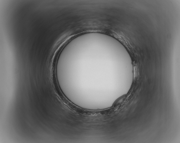 X0000108480243200904031125